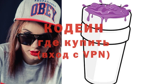 гашик Вяземский