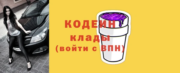гашик Вяземский