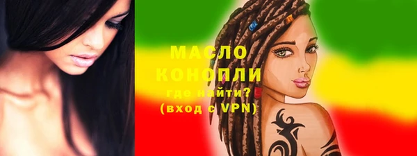 гашик Вяземский