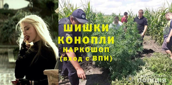 гашик Вяземский