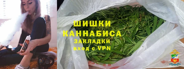 гашик Вяземский