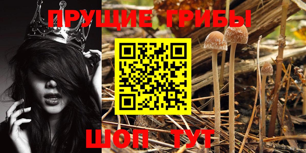 Псилоцибиновые грибы MAGIC MUSHROOMS  Псилоцибиновые грибы Cubensis  Череповец  Вход с VPN 
