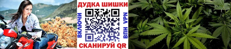 Бошки Шишки SATIVA & INDICA  купить наркотик  МЕГА ссылка  Череповец 